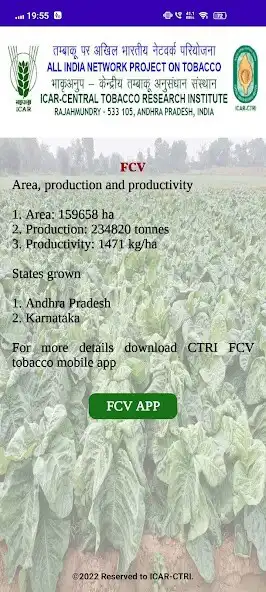 Play NON-FCV TOBACCO as an online game NON-FCV TOBACCO with UptoPlay