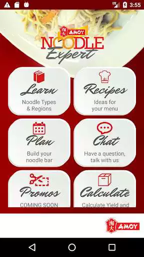 Play Noodle Expert