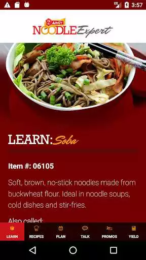 Play Noodle Expert