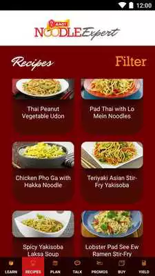 Play Noodle Expert