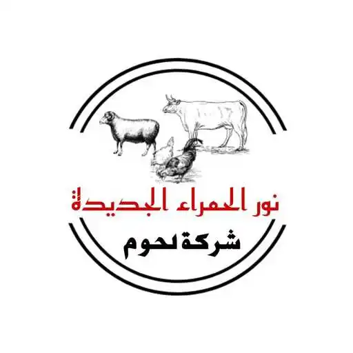 Play Noor Alhamra APK