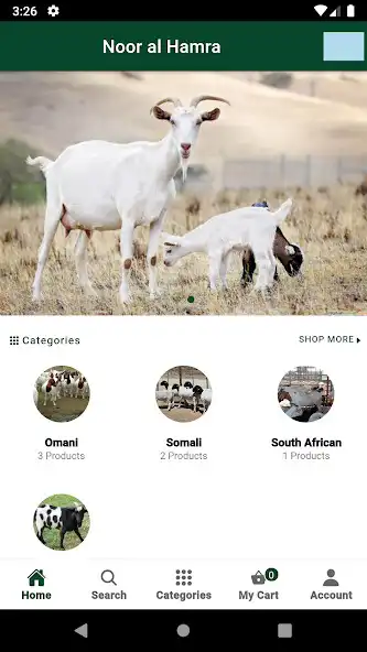 Play Noor Alhamra as an online game Noor Alhamra with UptoPlay