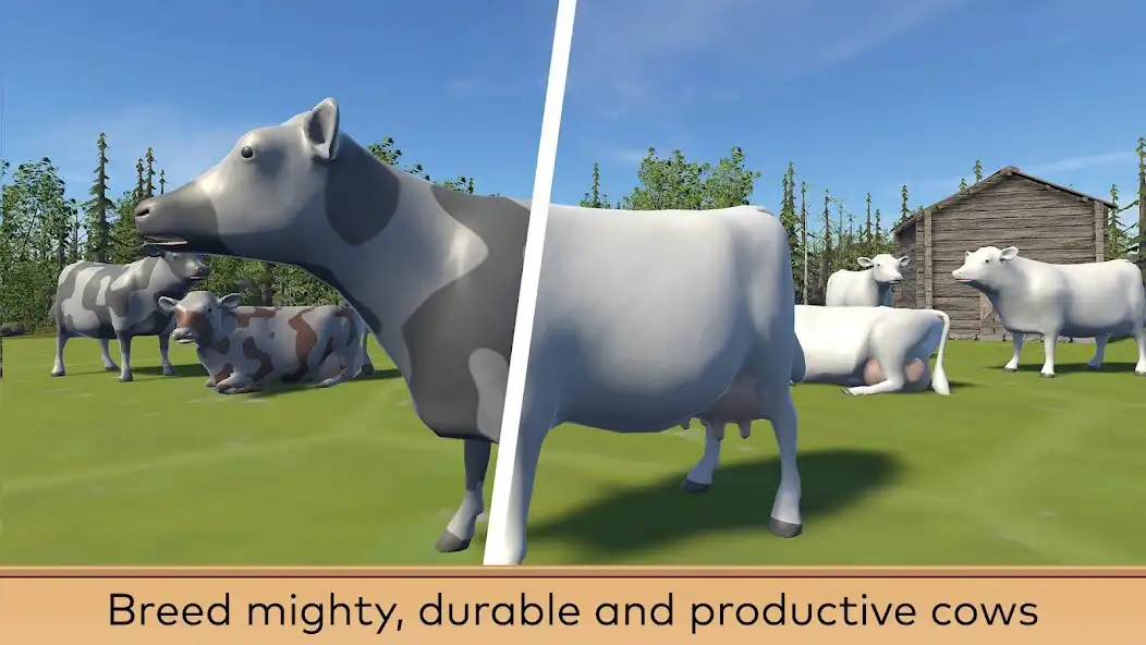 Play Nordic Cows as an online game Nordic Cows with UptoPlay