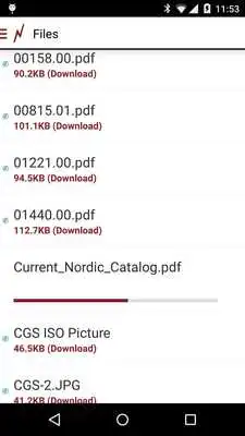 Play Nordic Fiberglass