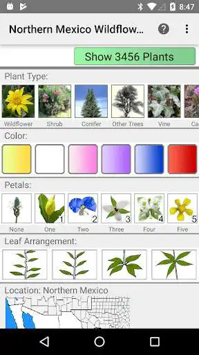 Play Northern Mexico Wildflowers  and enjoy Northern Mexico Wildflowers with UptoPlay