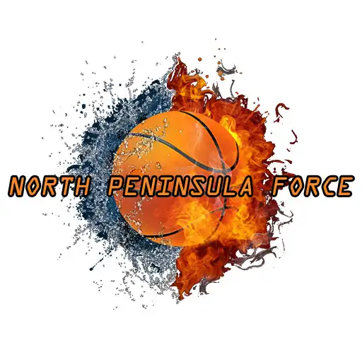 Free play online North Peninsula Force APK