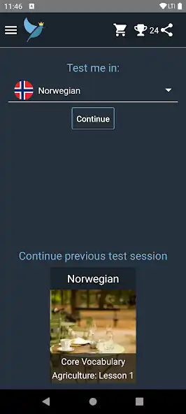 Play Norwegian Language Tests  and enjoy Norwegian Language Tests with UptoPlay