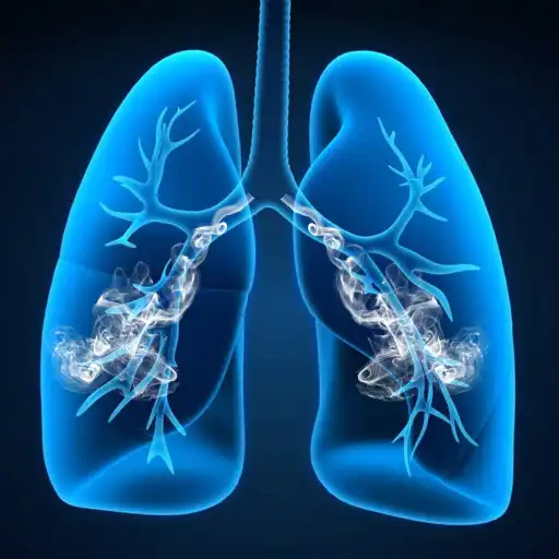 Play No Smoking APK Play No Smoking APK