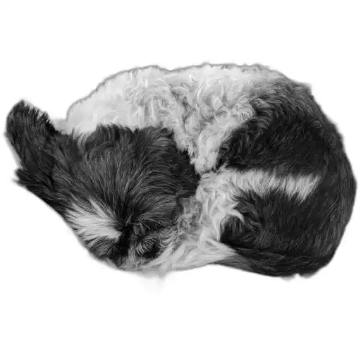 Play Notable Utility APK