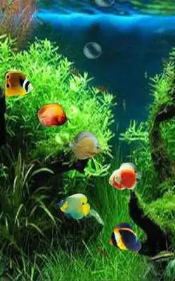 Play Note Edge Wallpapers