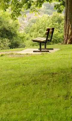 Play Note Edge Wallpapers