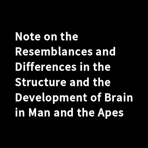Play Note on the Resemblances and Differences in the S APK Play Note on the Resemblances and Differences in the S APK