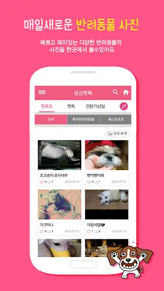 Play 노트펫(notepet) 반려동물 포털 - 강아지,고양이  and enjoy 노트펫(notepet) 반려동물 포털 - 강아지,고양이 with UptoPlay