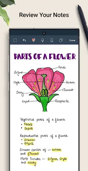 Play Noteshelf - Notes, Annotations  and enjoy Noteshelf - Notes, Annotations with UptoPlay