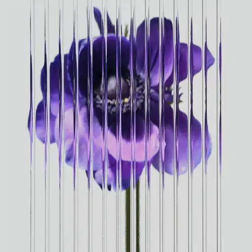 Play Nothing Wallpaper APK Play Nothing Wallpaper APK