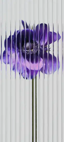 Play Nothing Wallpaper  and enjoy Nothing Wallpaper with UptoPlay