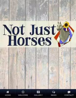 Play Not Just Horses