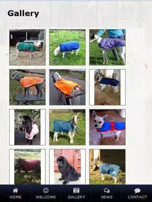 Play Not Just Horses
