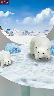 Play nounours