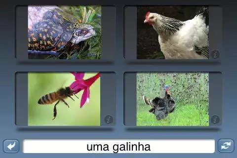 Play NounStar Learn Portuguese - Fr