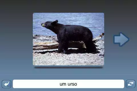 Play NounStar Learn Portuguese - Fr