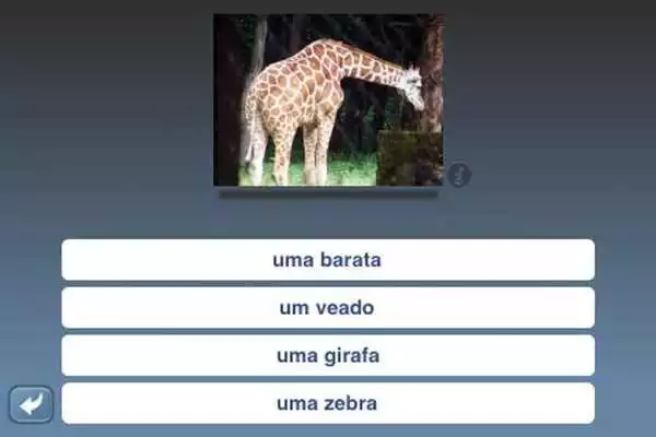 Play NounStar Learn Portuguese - Fr