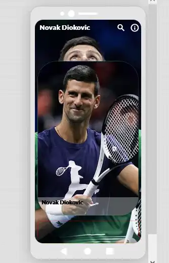 Play Novak Djokovic Life  and enjoy Novak Djokovic Life with UptoPlay