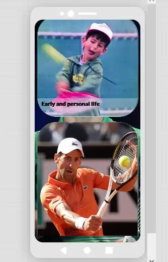 Play Novak Djokovic Life as an online game Novak Djokovic Life with UptoPlay