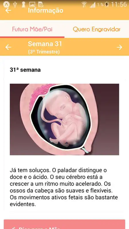 Play Nove Meses - A Minha Gravidez