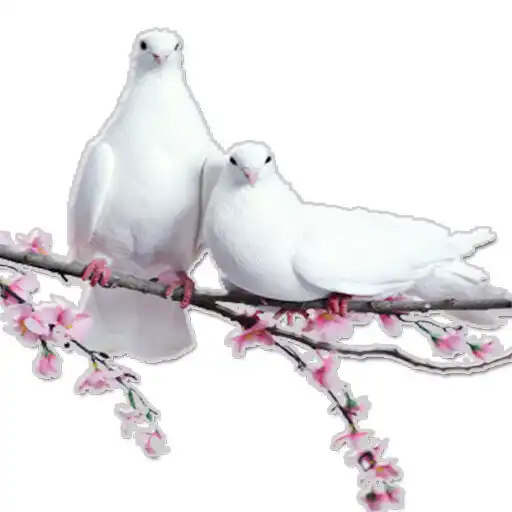 Play Novena to the Holy Spirit. APK Play Novena to the Holy Spirit. APK