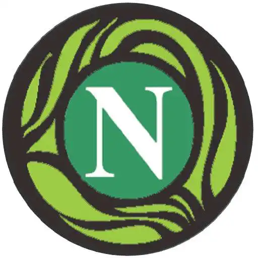 Play Nozinga APK