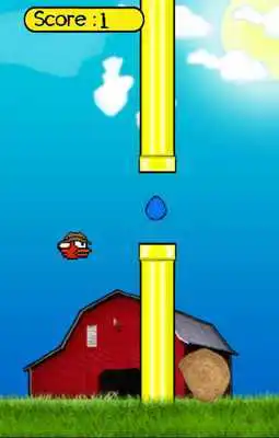Play NP Biokovo