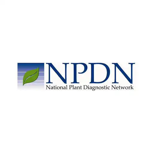 Play NPDN APK