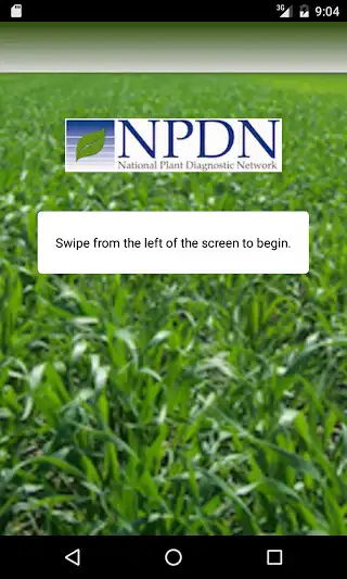 Play NPDN as an online game NPDN with UptoPlay