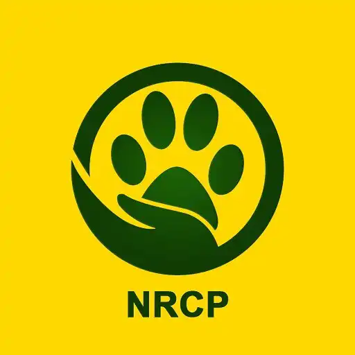 Play NRCP App APK