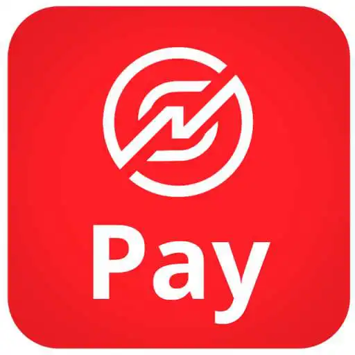 Play NS PAY APK