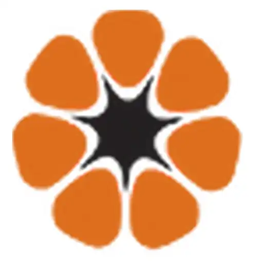 Play NT  Darwin News APK