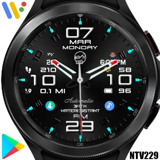 Play NTV229 - Hybrid Multi Faces APK Play NTV229 - Hybrid Multi Faces APK