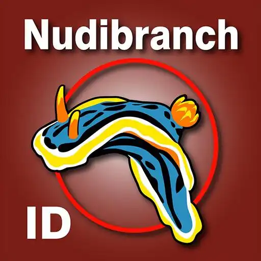 Play Nudibranch ID IndOcean RedSea APK