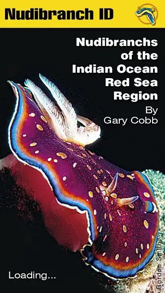 Play Nudibranch ID IndOcean RedSea  and enjoy Nudibranch ID IndOcean RedSea with UptoPlay