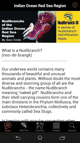 Play Nudibranch ID IndOcean RedSea as an online game Nudibranch ID IndOcean RedSea with UptoPlay