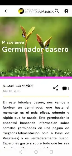 Play Nuestros Pájaros as an online game Nuestros Pájaros with UptoPlay