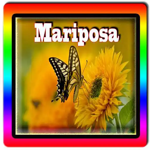 Play Nueva Mariposa Full HD APK Play Nueva Mariposa Full HD APK