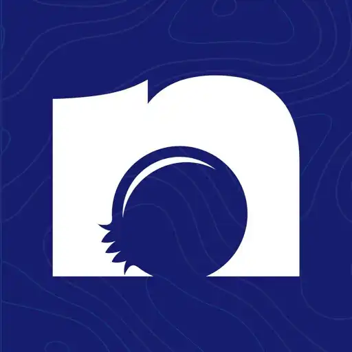 Play Numberry: Virtual Number APK