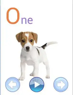Play Numbers for Kids Interactive