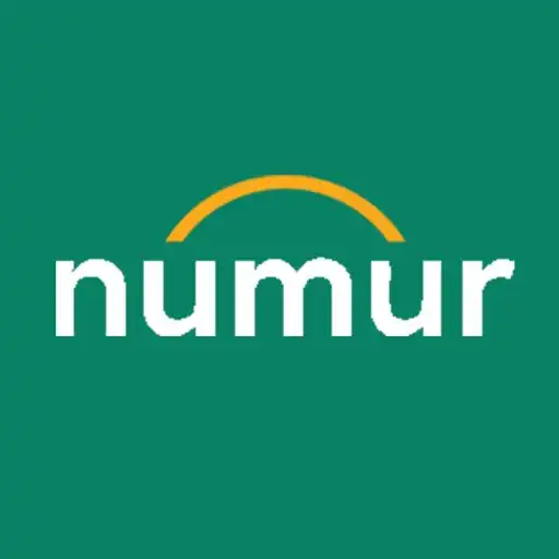 Play Numur APK