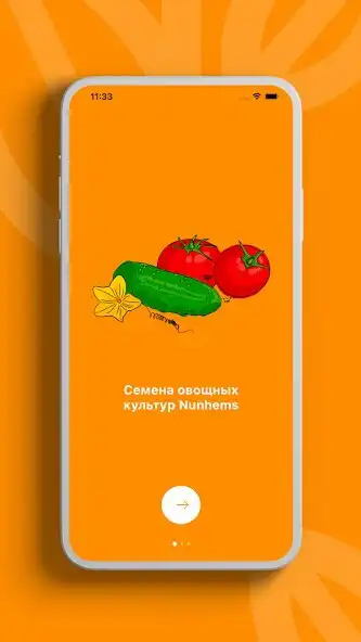 Play Nunhems  and enjoy Nunhems with UptoPlay