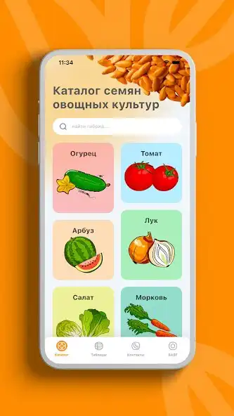 Play Nunhems as an online game Nunhems with UptoPlay