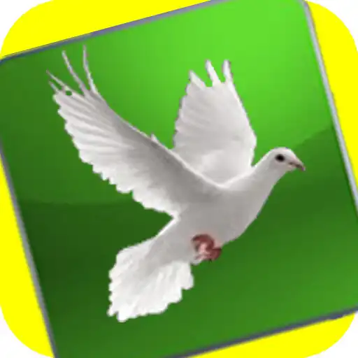 Play Nuni Nord et français English APK