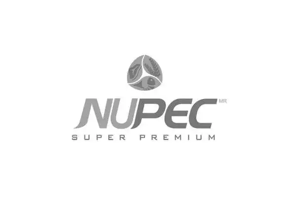 Play NUPEC Play NUPEC